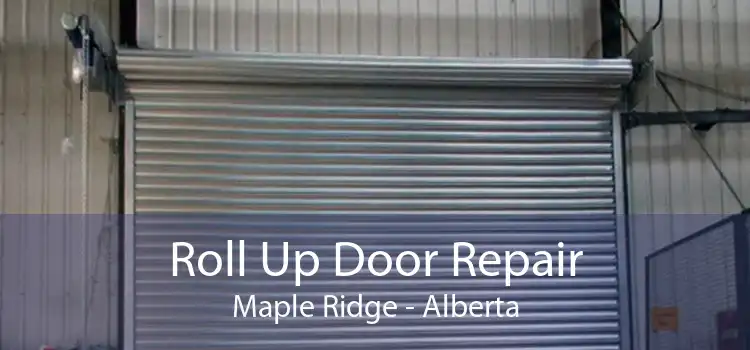 Roll Up Door Repair Maple Ridge - Alberta