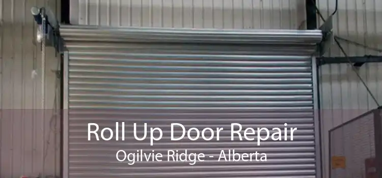 Roll Up Door Repair Ogilvie Ridge - Alberta