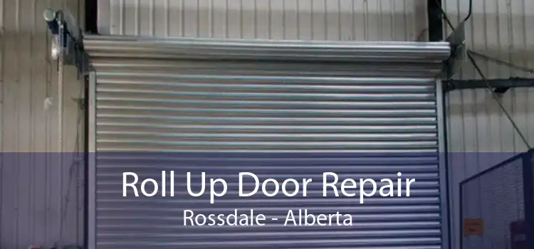 Roll Up Door Repair Rossdale - Alberta