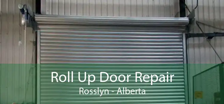Roll Up Door Repair Rosslyn - Alberta