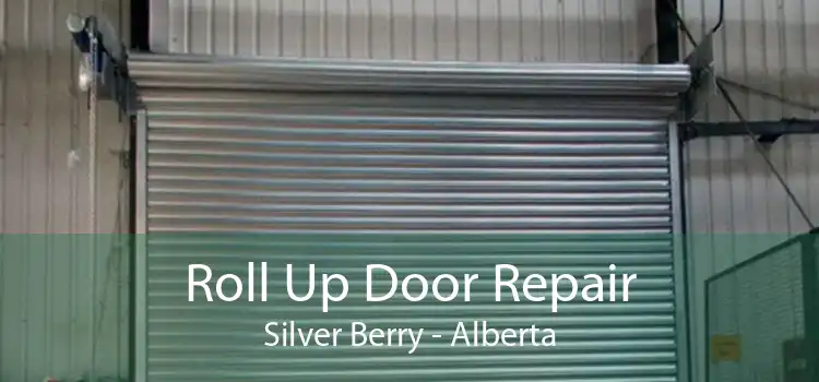 Roll Up Door Repair Silver Berry - Alberta