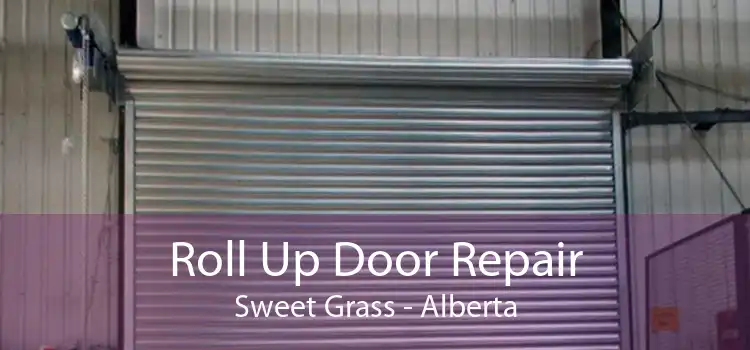 Roll Up Door Repair Sweet Grass - Alberta