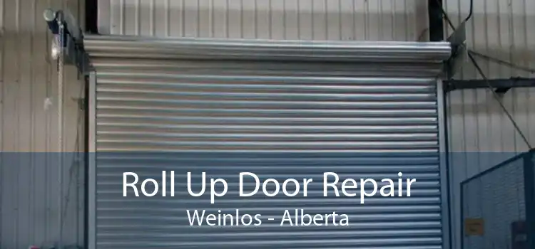 Roll Up Door Repair Weinlos - Alberta