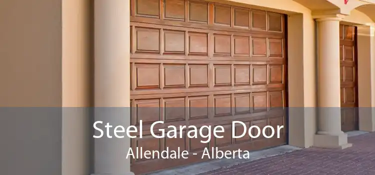Steel Garage Door Allendale - Alberta