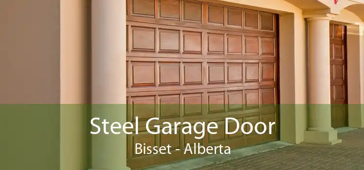 Steel Garage Door Bisset - Alberta