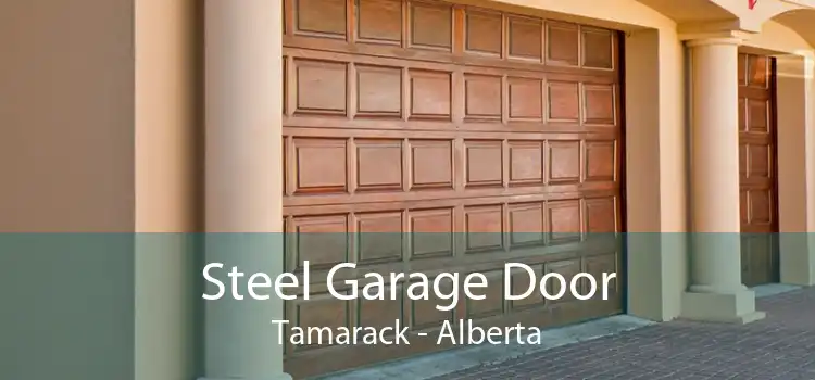Steel Garage Door Tamarack - Alberta