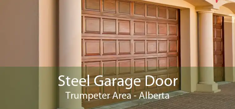 Steel Garage Door Trumpeter Area - Alberta